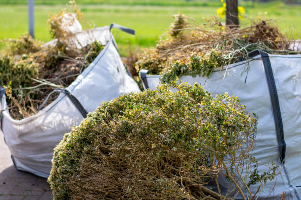 Best Carpet Removal and Disposal  in Filer, ID